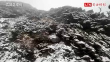 畫面曝光 ! 雪霸初雪來了  主峰稜線積雪1公分