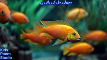 مچھلی جل کی رانی ہے