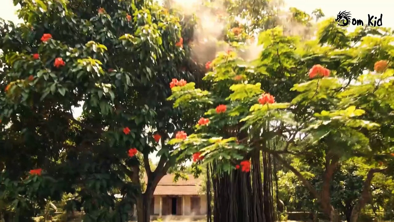 Chim Cánh Cụt - Nhạc Thiếu Nhi Vui Nhộn | Hoạt Hình Sôi Động, Nhạc Hoạt Hình Cho Bé