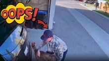 Dog leaps toward a closed trunk in imaginative play and gets saved