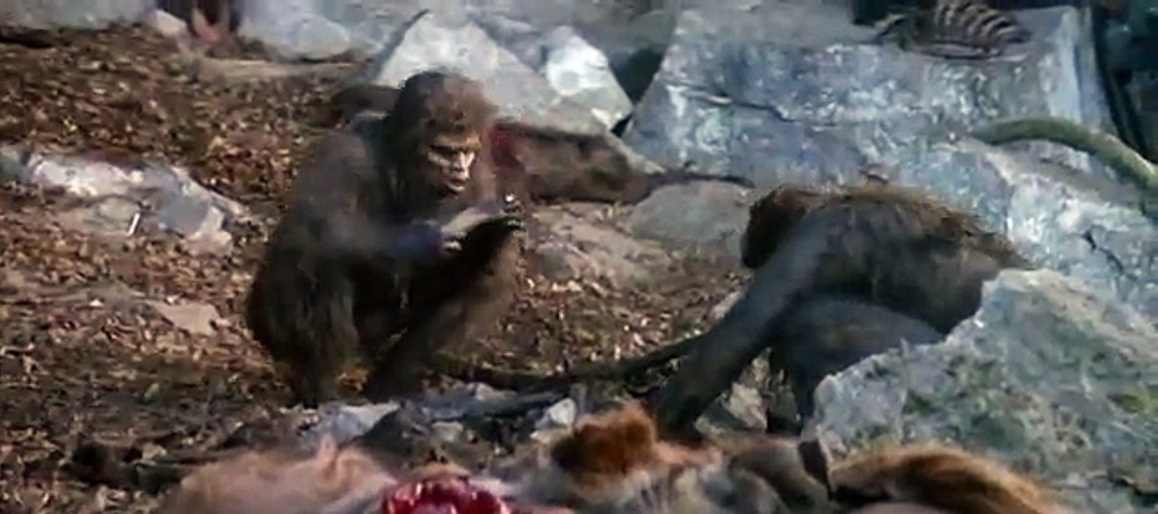 Am Anfang war das Feuer