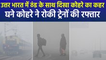घने कोहरे और पॉल्यूशन की दोहरी मार, दिल्ली-एनसीआर समेत कई राज्यों में कोहरे और ठंड का असर जारी!