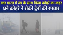 घने कोहरे और पॉल्यूशन की दोहरी मार, दिल्ली-एनसीआर समेत कई राज्यों में कोहरे और ठंड का असर जारी!