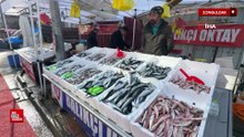 Zonguldak'ta hamsi yoğunluğu yaşandı, palamut çıkmadı