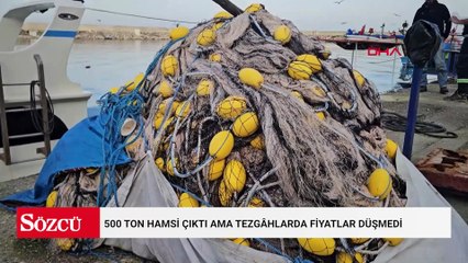 500 ton hamsi çıktı ama tezgâhlarda fiyatlar düşmedi