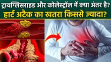 Cholesterol Vs Triglycerides: ट्रायग्लिसराइड और कोलेस्ट्रॉल में हार्ट अटैक का खतरा किससे ज्यादा है?