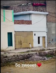 Work on point… Rain enjoyed 😎🌧️ Rainy weather, happy vibes 🔥 Rain changes the mood, not the grind 😎 Working hard, enjoying the rain 🌧️    Let it rain, keep the vibe 😌    Thoda Zyada Dabangg . Rain outside, fire inside 🔥🌧️