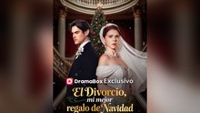El divorcio, mi mejor regalo de Navidad En Español