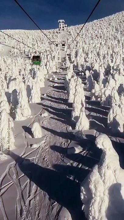 ❄️🇯🇵 Yamagata, le Japon en version hivernale  Sous un manteau de neige épais, la préfecture de Yamagata se transforme en véritable pays des merveilles d’hiver...