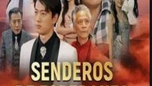 [Doblado ESP] Senderos de Esperanza Su Viaje de Regreso a Casa pelicula completa
