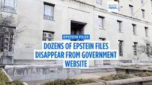Documents vanish from US government's Epstein files release website