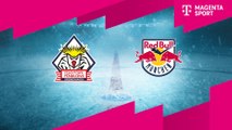 Highlights von Fischtown Pinguins - EHC Red Bull München