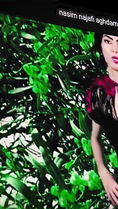 Nasim Aghdam a une dent contre youtube...