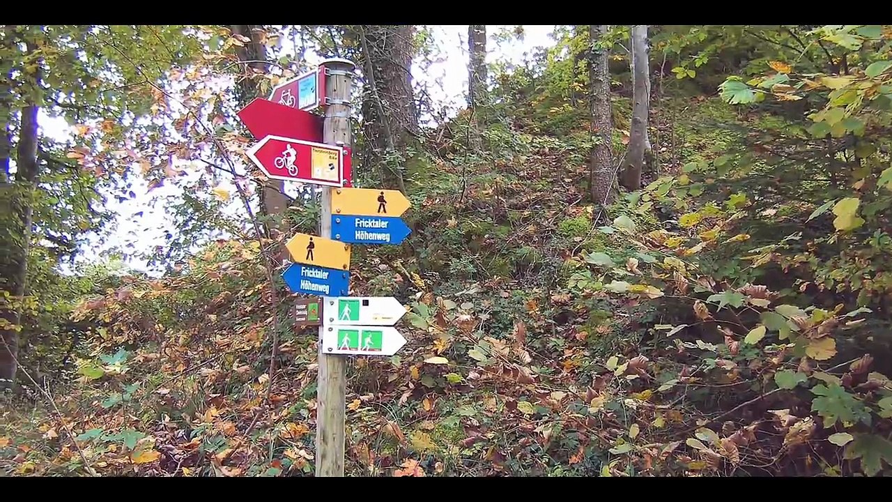 Landvergnügen kurz & knackig #4_ Wein, Wandern & Burgromantik im Aargau! Wohnmobistellpatz🍷🏰