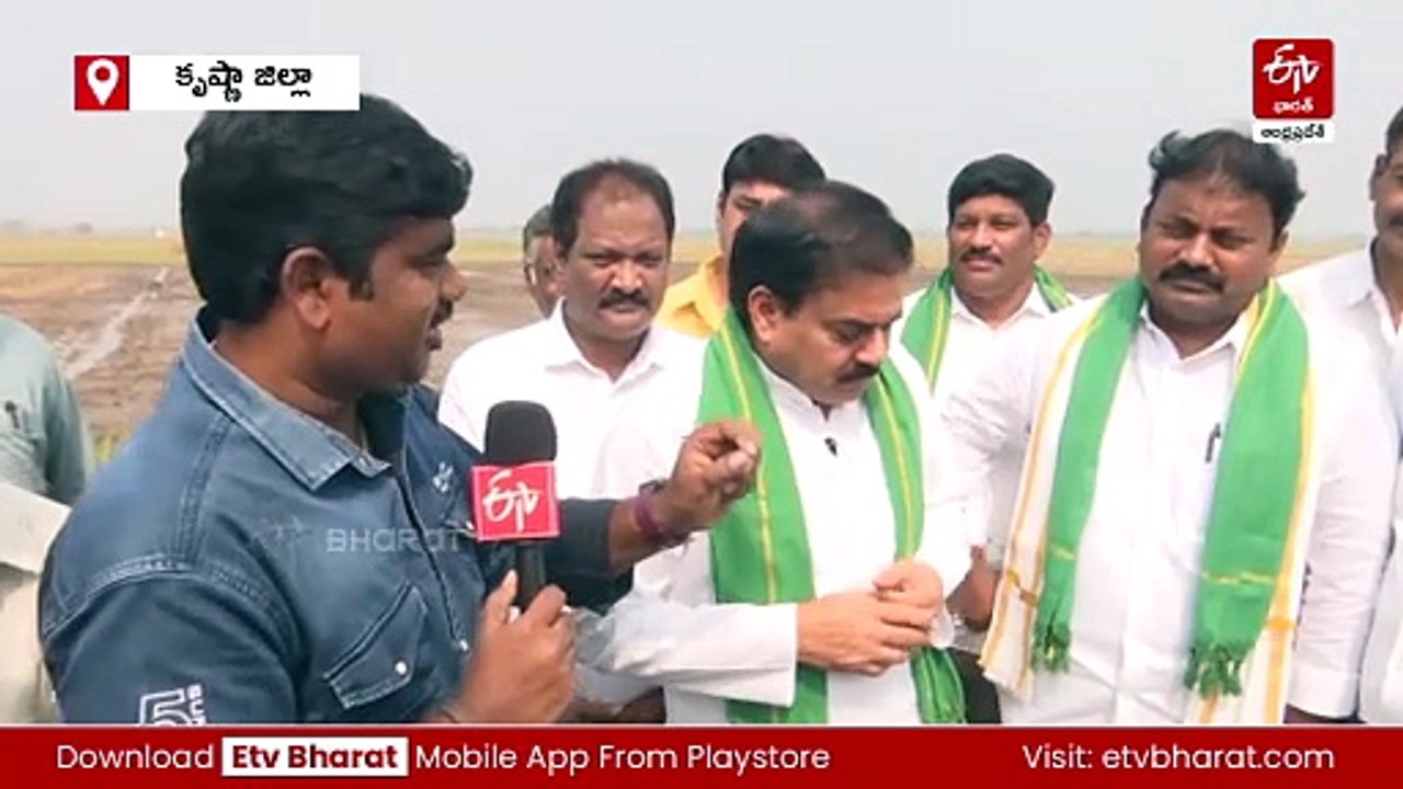 28 లక్షల మెట్రిక్ టన్నుల ధాన్యం కొనుగోలు - రైతు...