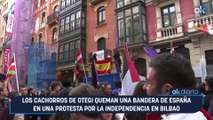 Los cachorros de Otegi queman una bandera de España en una protesta por la independencia en Bilbao