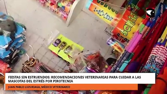 Recomendaciones veterinarias para cuidar a las mascotas del estrés por pirotecnia