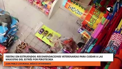 Recomendaciones veterinarias para cuidar a las mascotas del estrés por pirotecnia