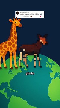 Le cousin de la girafe que personne ne connait ! #okapi #girafe #animaux #nature #humour