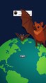 Une chauve souris de la taille d'un renard ! #chauvesouris #renard #animaux #nature #humour