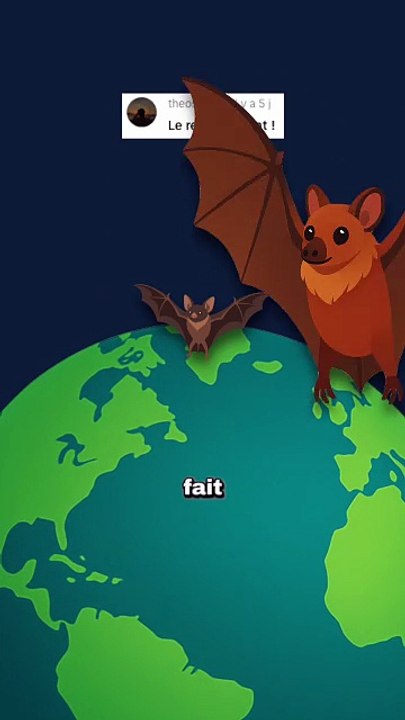 Une chauve souris de la taille d'un renard ! #chauvesouris #renard #animaux #nature #humour