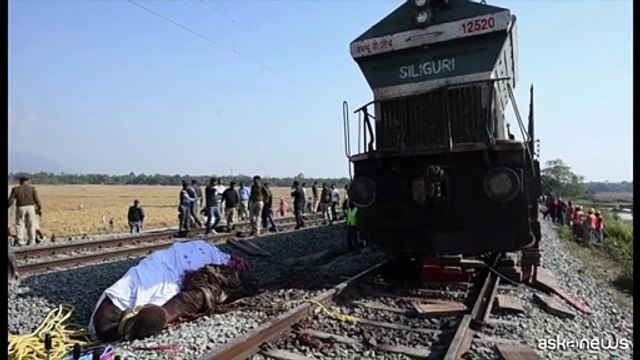 India, un treno passeggeri investe branco di elefanti: 7 morti