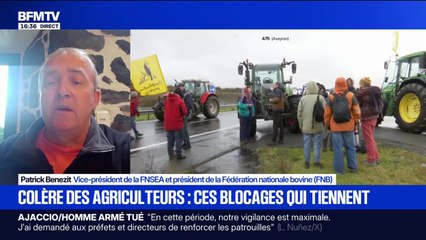 Colère des agriculteurs: "Les réponses qu'on nous a adressées sont extrêmement faibles", déplore Patrick Benezit, vice-président de la FNSEA
