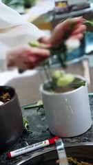 Her Death Was Step One