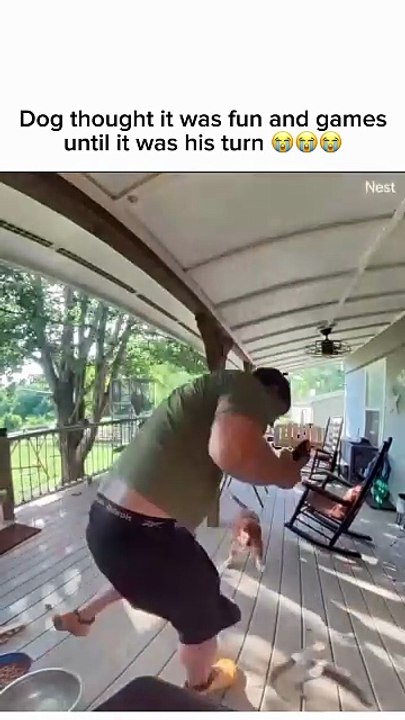 ​Squirrel Gone Wild! 🐿️ Catching Hands (and Paws) on the Porch! 🤣🏠