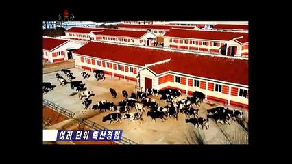 Experiência de pecuária de várias unidades