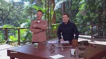 Im a Celebrity Get Me Out of Here Season 25 Episode 04 Ascareium