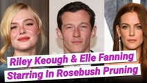 Riley Keough & Elle Fanning Starring Mubi's New Family Drama 'Rosebush Pruning'