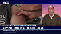 Épidémie de grippe: 