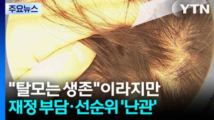 "탈모는 생존 문제"라지만...재정 부담·우선 순위 '난관' / YTN