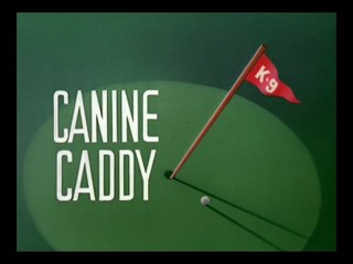 Mickey Mouse e Pluto - Mickey e Pluto no Campo de Golfe (1941)