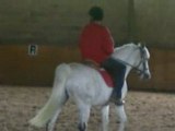 Mehdi fait du cheval mdr