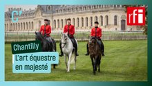 Grandes Écuries de Chantilly : l'art équestre en majesté