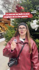 Le marché de Noël le plus magique de la rive gauche existe… 🌟©️ Crédit : @petitmauda🎁 Tous nos bons plans à retrouver en bio ! ❤️‍🔥👉🏻 Abonne-toi au Petit Mauda pour plus d’inspiration ! 🌳