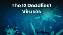 The 12 Deadliest Viruses