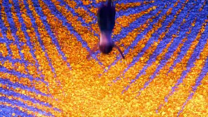 Encanto, la fantastique famille Madrigal - Extrait Que sais-je faire d'autre ? [VF|HD1080p]