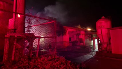 전북 임실 돼지 농장 불...돼지 1천120마리 폐사 / YTN