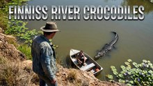Finniss River Crocodiles Northern Territory Australia