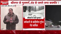 Video: कश्मीर में हुई सीजन की पहली बर्फबारी, बिछी 'सफेद चादर'!