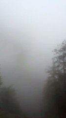 view of nathia Gali