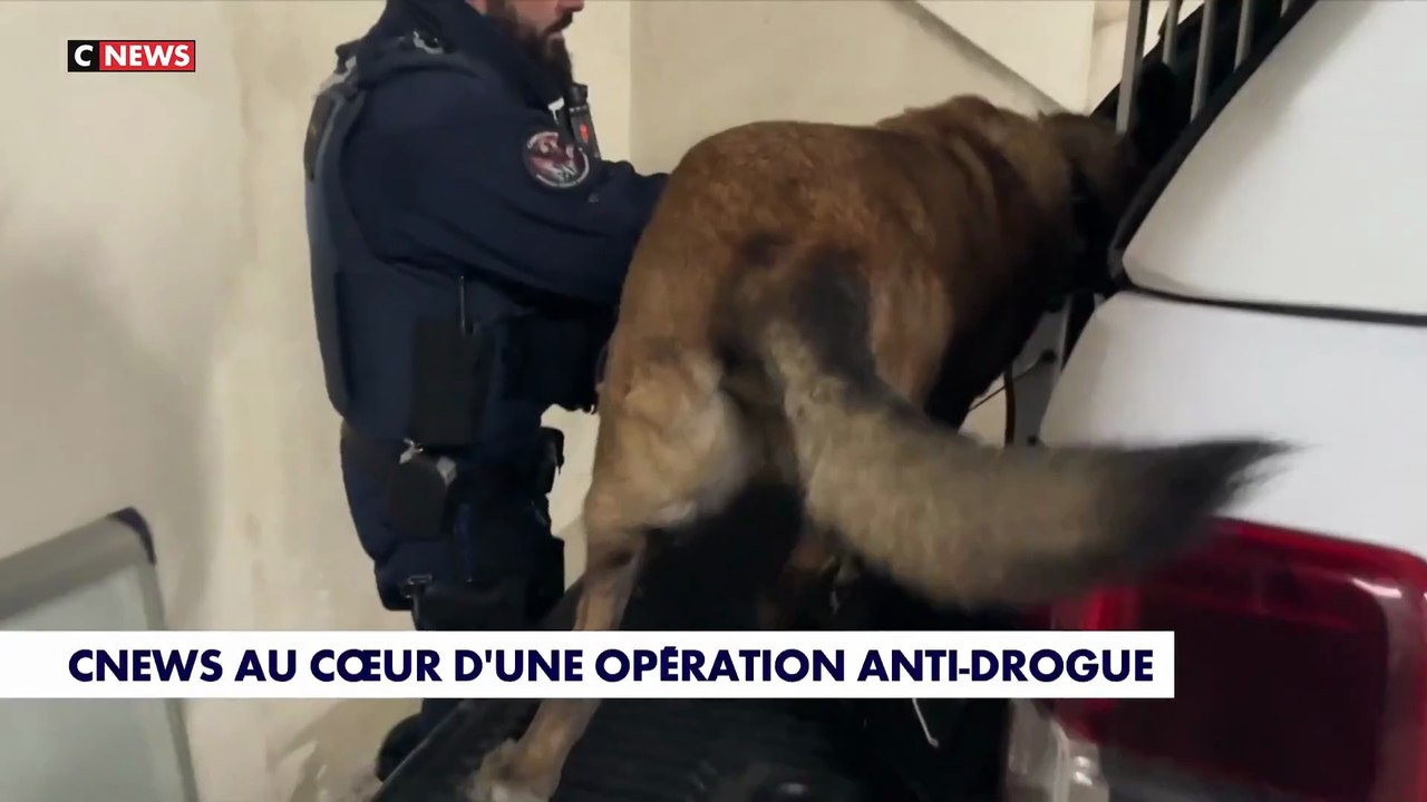 CNEWS au coeur d'une opération anti-drogue