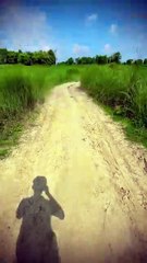 Amazing nature views l beautiful nature videos