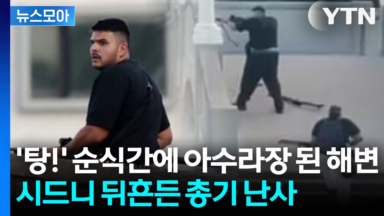 [뉴스모아] ‘탕!' 순식간에 아수라장 된 해변... 세계적 관광지 뒤흔든 총기 난사...