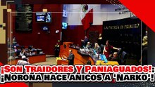 🔥🚨¡SON TRAIDORES Y PANIAGUADOS, NO SABEN NI LEER! ¡NOROÑA HACE AÑICOS a “NARKO” CORTÉS!