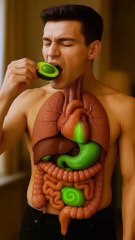 what happened to your body when you drink green blend foods everyday.