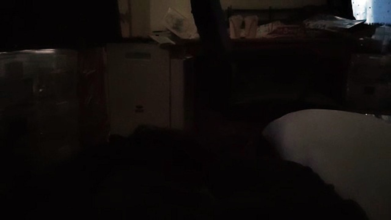 飼い主の足にくっついてくつろぐココア4